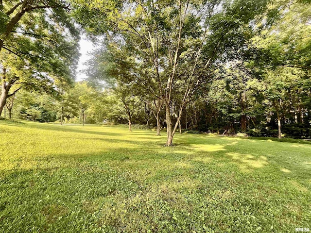 850 Joppa N Ave, Joppa, IL 62953 - view of green lawn