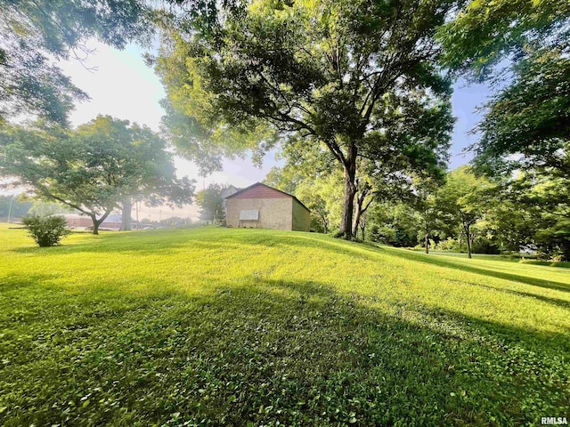 850 Joppa N Ave, Joppa, IL 62953 - view of green lawn featuring an outdoor structure