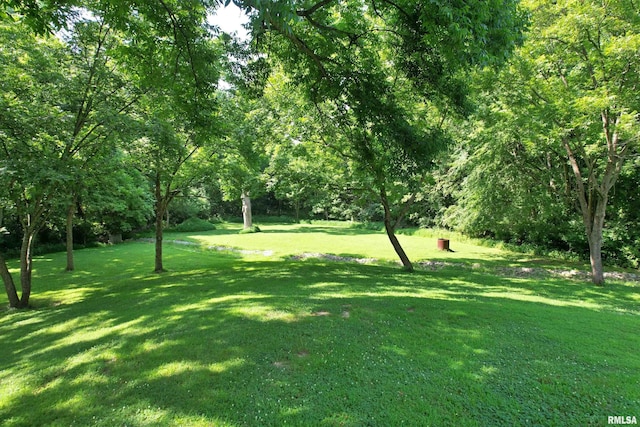 850 Joppa N Ave, Joppa, IL 62953 - view of green lawn