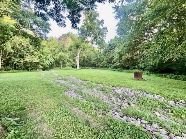850 Joppa N Ave, Joppa, IL 62953 - view of green lawn with a wooded view