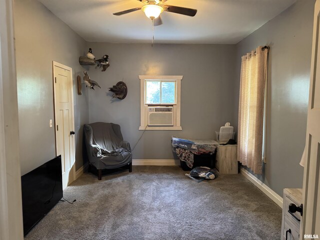 200 S Green St, Anna, IL 62926 - photo 14