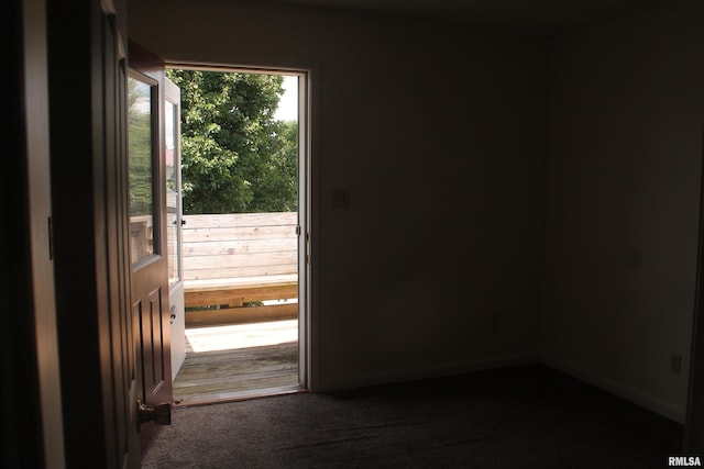 402-408 Hester St Unit 14, Carbondale, IL 62901 - entryway with carpet floors