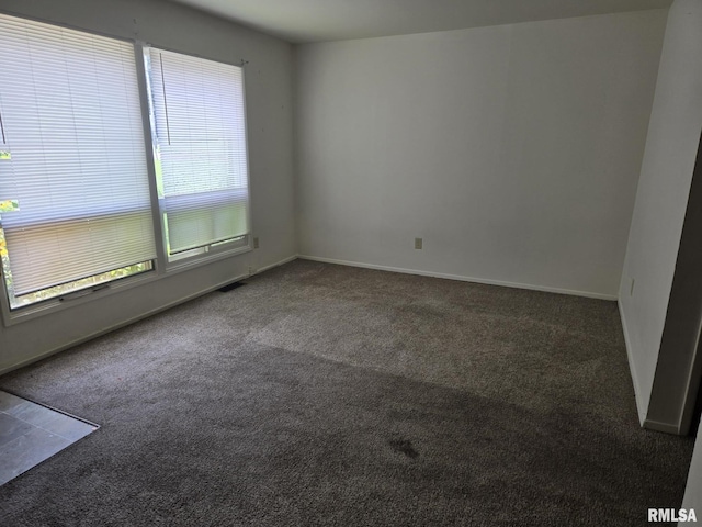 604 S Oakland Ave Unit 10, Carbondale, IL 62901 - photo 5