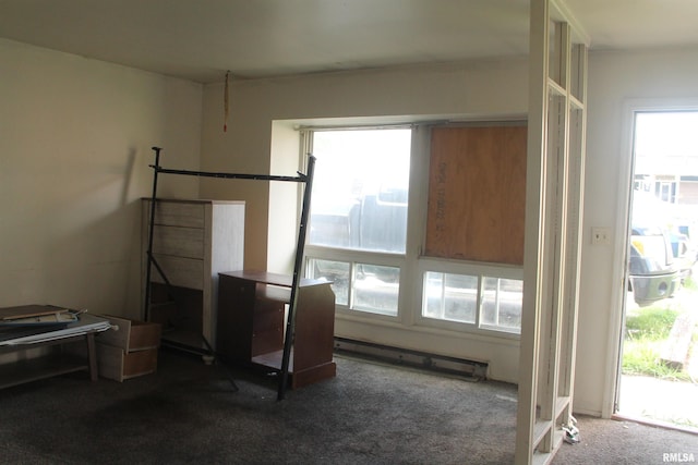 511 S Rawlings St Unit 10, Carbondale, IL 62901 - photo 5