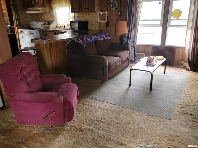 1060 W 5th St, Flora, IL 62839 - view of carpeted living room