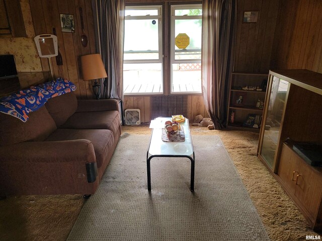1060 W 5th St, Flora, IL 62839 - living area with wood walls
