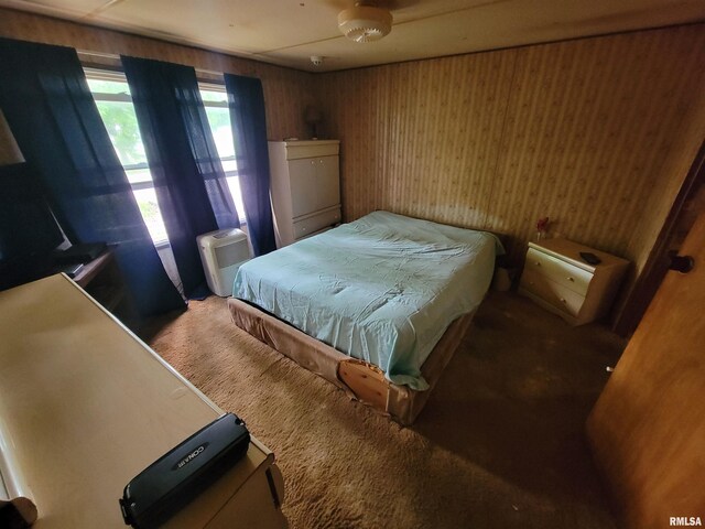 1060 W 5th St, Flora, IL 62839 - bedroom with carpet floors
