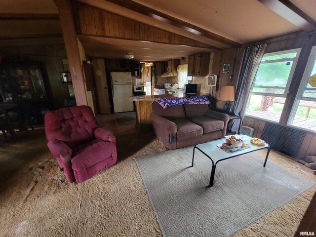 1060 W 5th St, Flora, IL 62839 - carpeted living area with wood walls and beam ceiling