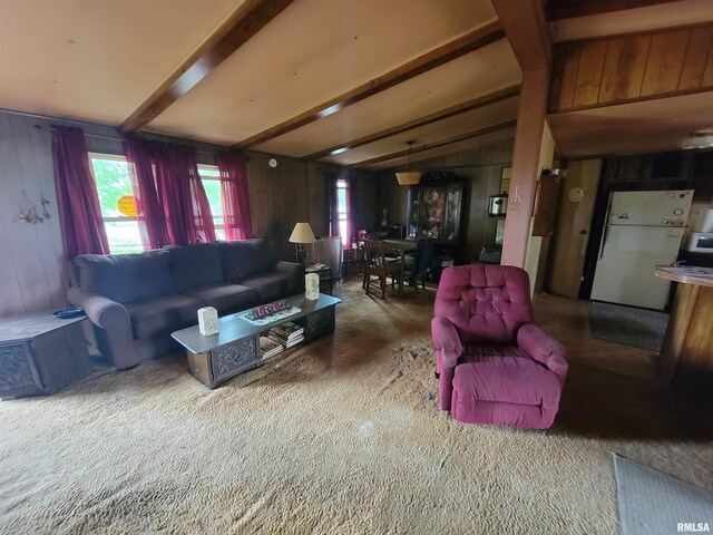 1060 W 5th St, Flora, IL 62839 - living area featuring carpet and wood walls