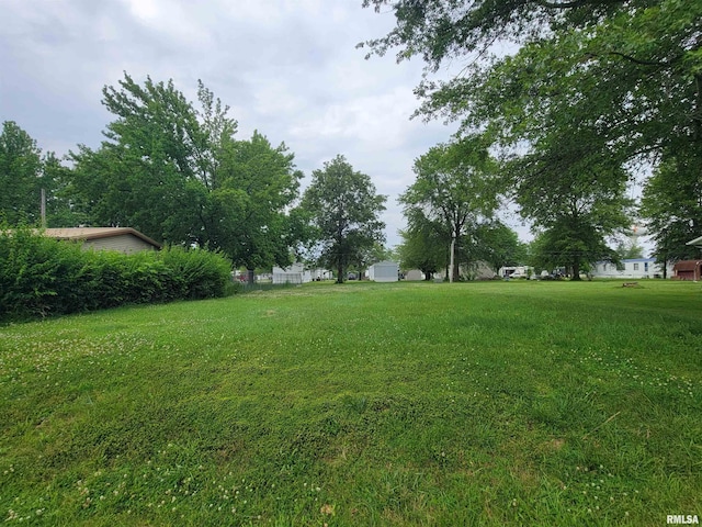 1060 W 5th St, Flora, IL 62839 - view of yard