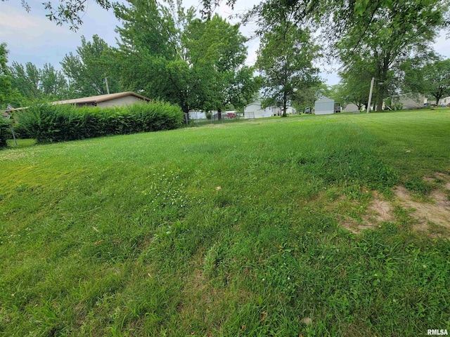 1060 W 5th St, Flora, IL 62839 - view of yard