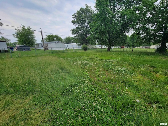 1060 W 5th St, Flora, IL 62839 - view of yard