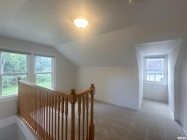 604 W Walnut St, Carbondale, IL 62901 - photo 13