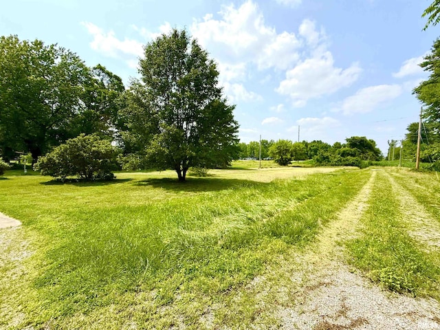 401 S 7th St, Herrin, IL 62948 - photo 2
