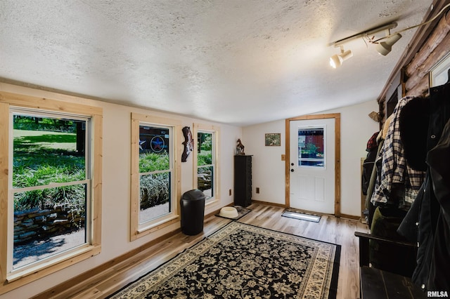 690 Ganntown Ln, Grantsburg, IL 62943 - entrance foyer featuring a textured ceiling, light wood finished floors, lofted ceiling, and healthy amount of natural light