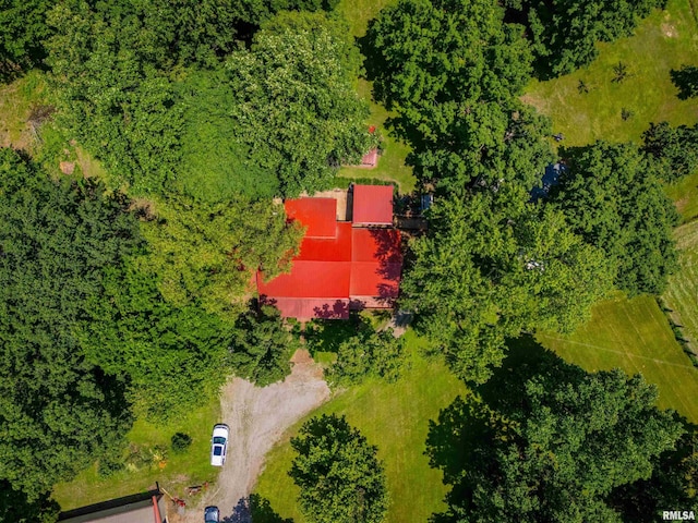 690 Ganntown Ln, Grantsburg, IL 62943 - drone / aerial view