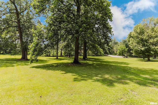 690 Ganntown Ln, Grantsburg, IL 62943 - view of grassy yard featuring view of scattered trees