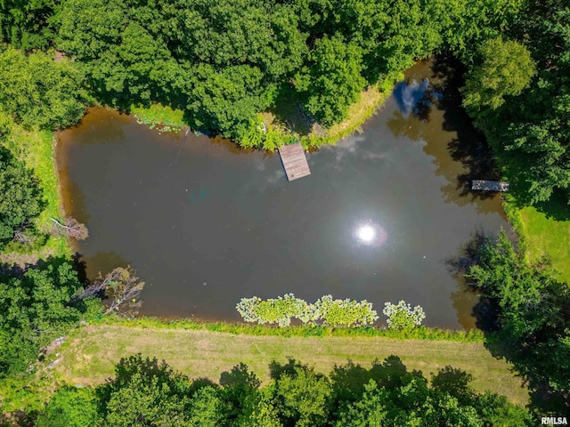 690 Ganntown Ln, Grantsburg, IL 62943 - aerial view of a nearby body of water