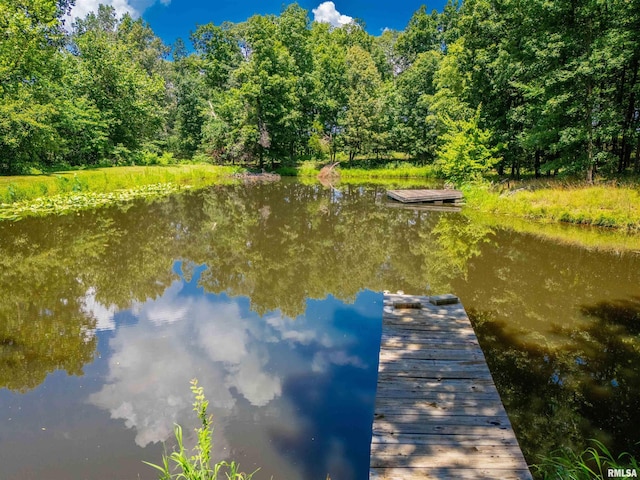 690 Ganntown Ln, Grantsburg, IL 62943 - dock with a water view and a view of trees