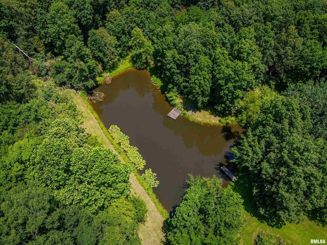 690 Ganntown Ln, Grantsburg, IL 62943 - aerial view of property and surrounding area featuring a large body of water