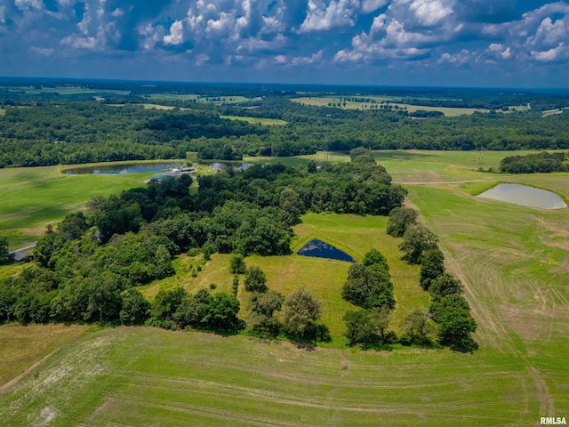 690 Ganntown Ln, Grantsburg, IL 62943 - aerial view of a large body of water