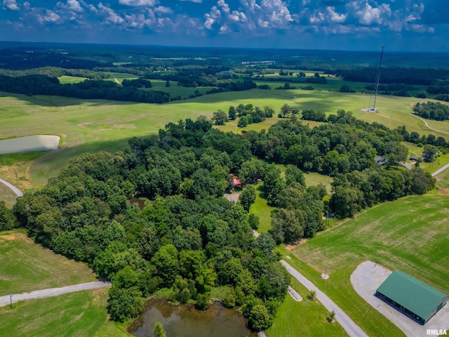 690 Ganntown Ln, Grantsburg, IL 62943 - aerial view