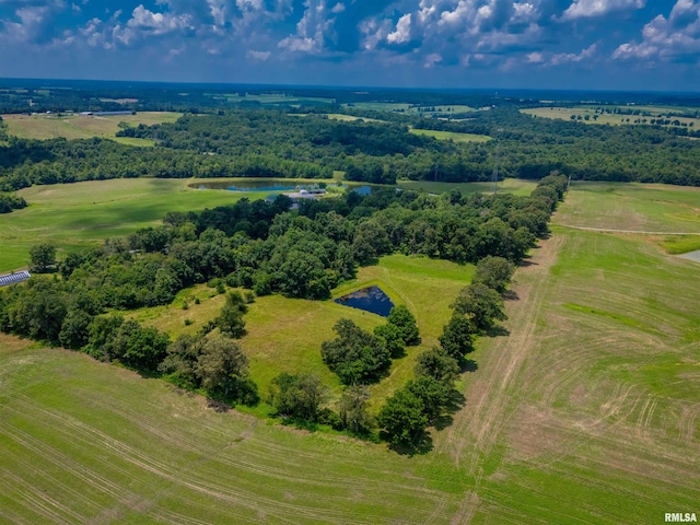 690 Ganntown Ln, Grantsburg, IL 62943 - aerial view of a large body of water