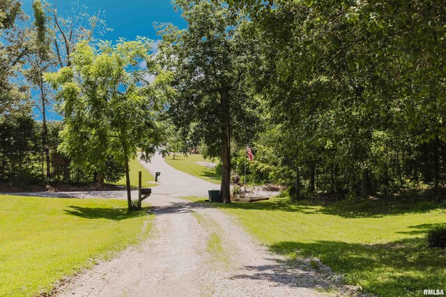 690 Ganntown Ln, Grantsburg, IL 62943 - view of road