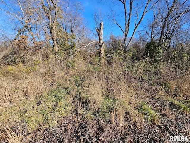 0000 N Il Highway 37, Bonnie, IL 62816