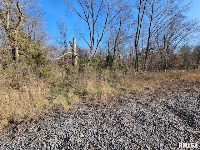 0000 N Il Highway 37, Bonnie, IL 62816