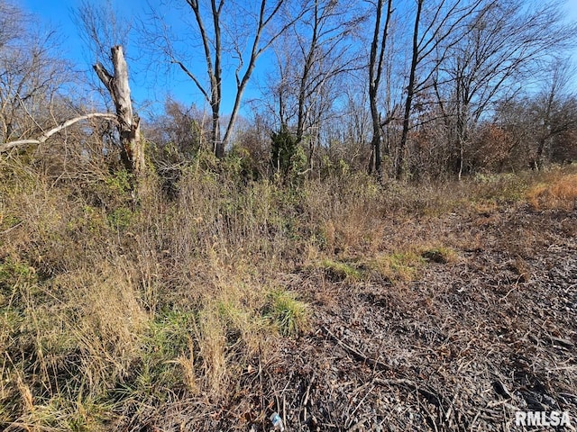0000 N Il Highway 37, Bonnie, IL 62816