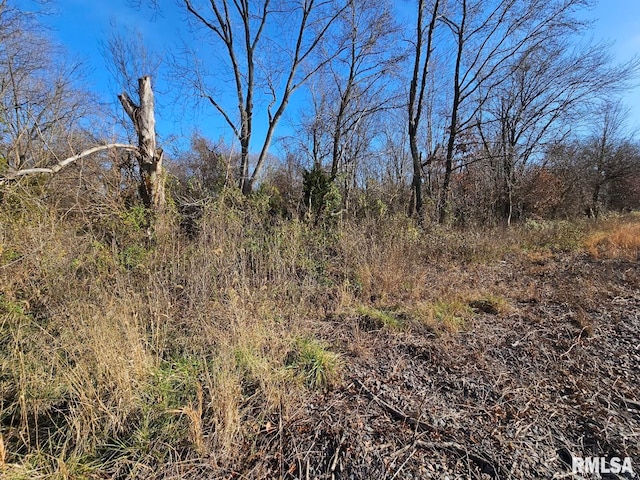0000 N Il Highway 37, Bonnie, IL 62816