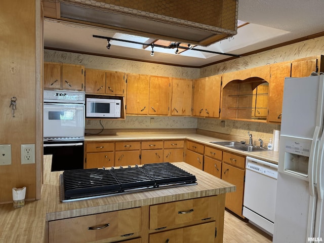 3100 Ava Rd, Murphysboro, IL 62994 - kitchen featuring white appliances, light wood-style flooring, and light countertops