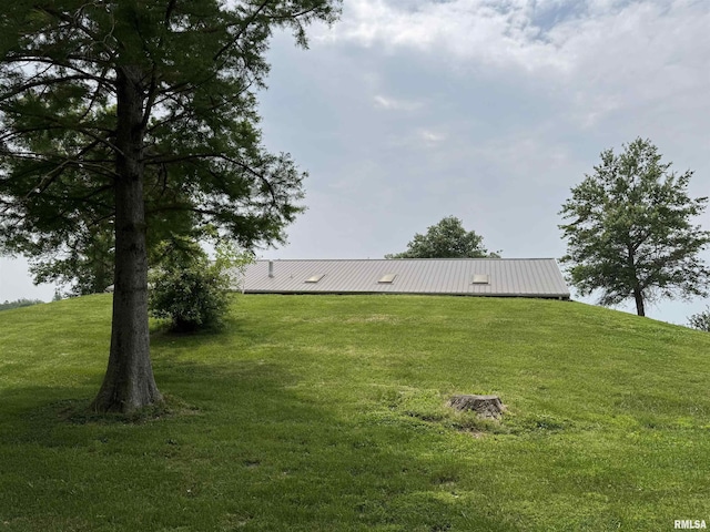 3100 Ava Rd, Murphysboro, IL 62994 - view of grassy yard