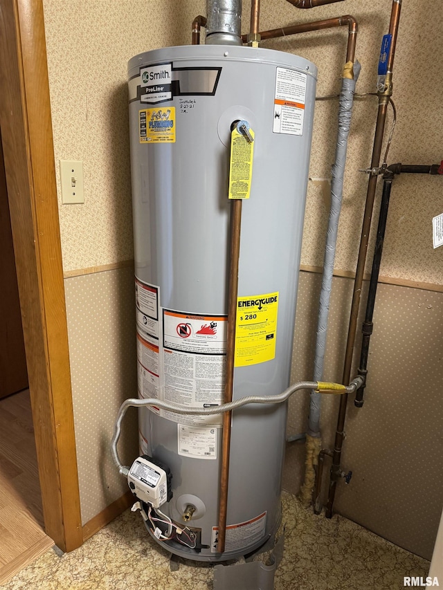 3100 Ava Rd, Murphysboro, IL 62994 - utility room featuring water heater