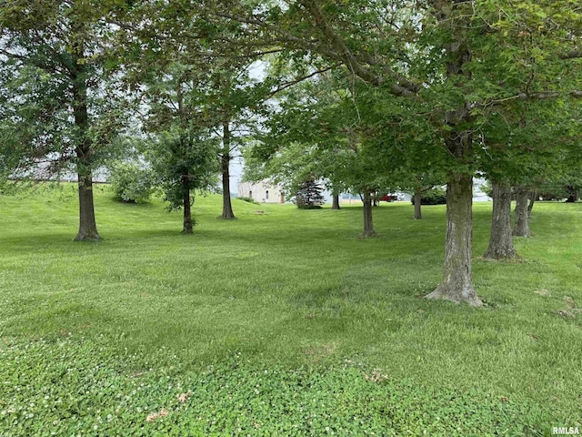 3100 Ava Rd, Murphysboro, IL 62994 - view of green lawn