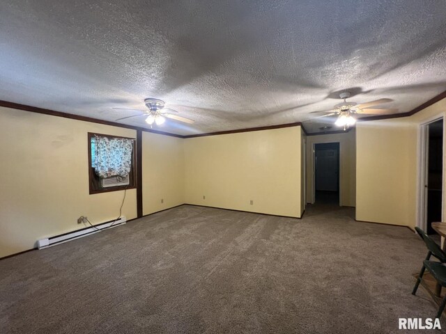 147 Raccoon Valley Rd, Makanda, IL 62958 - photo 13