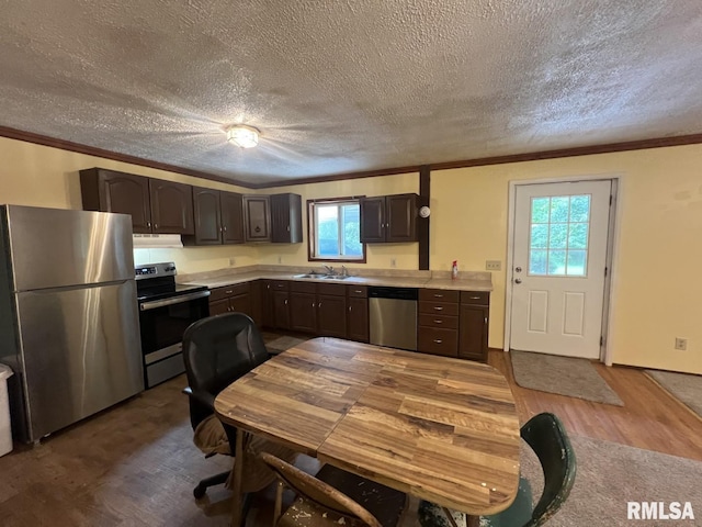 147 Raccoon Valley Rd, Makanda, IL 62958 - photo 18