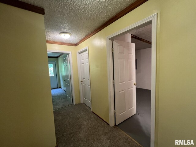 147 Raccoon Valley Rd, Makanda, IL 62958 - photo 35