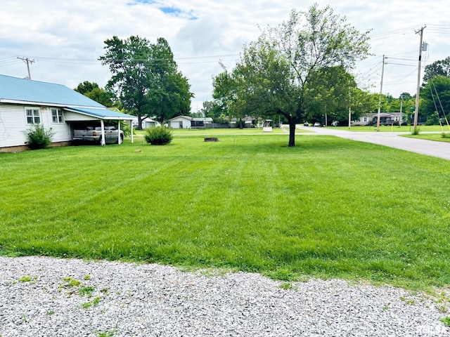 803 Butler St, Metropolis, IL 62960 - view of green lawn
