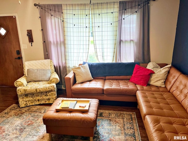 803 Butler St, Metropolis, IL 62960 - living room featuring wood finished floors