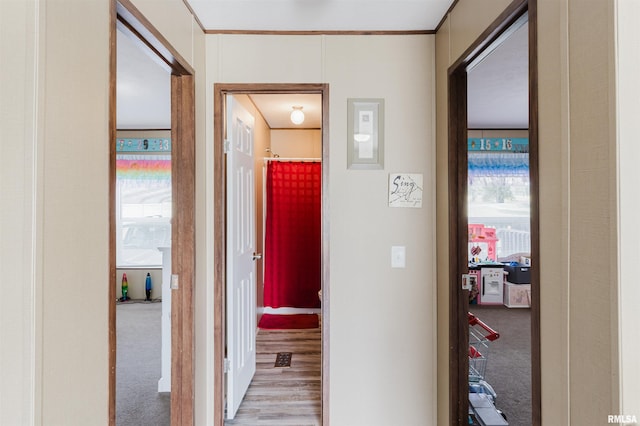 11149 Crenshaw Rd, Marion, IL 62922 - hall featuring carpet flooring and ornamental molding