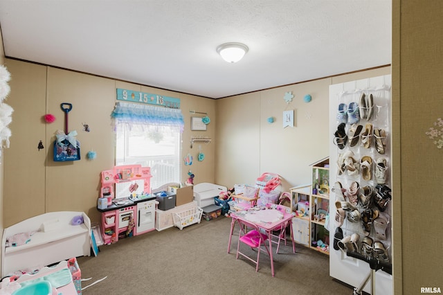11149 Crenshaw Rd, Marion, IL 62922 - recreation room featuring carpet floors