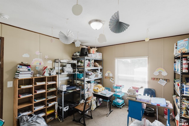 11149 Crenshaw Rd, Marion, IL 62922 - view of carpeted office