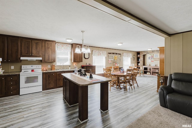 11149 Crenshaw Rd, Marion, IL 62922 - kitchen with white electric stove, under cabinet range hood, light wood-style floors, dark brown cabinets, and light countertops