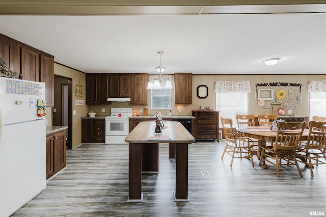 11149 Crenshaw Rd, Marion, IL 62922 - kitchen with white appliances, under cabinet range hood, light countertops, and light wood-style flooring