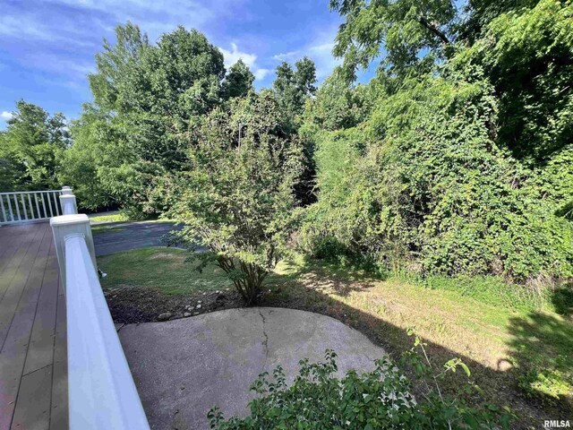 112 Birdsong Dr, Carbondale, IL 62901 - photo 47