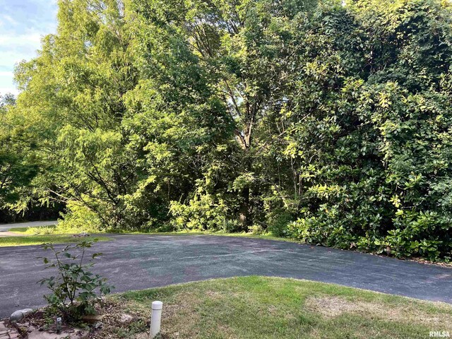 112 Birdsong Dr, Carbondale, IL 62901 - photo 48