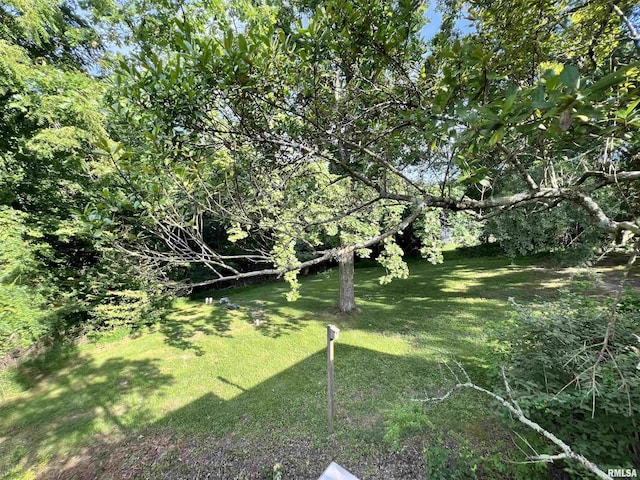 112 Birdsong Dr, Carbondale, IL 62901 - photo 50