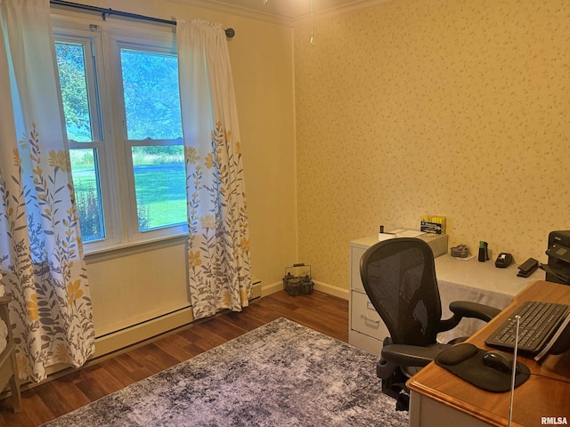 4139 Altenberger Rd, Metropolis, IL 62960 - office area featuring dark wood finished floors, healthy amount of natural light, and crown molding